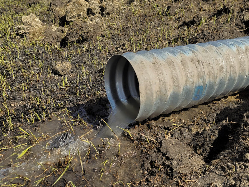 Drainage pipe showing water flowing by Luft and Sons.